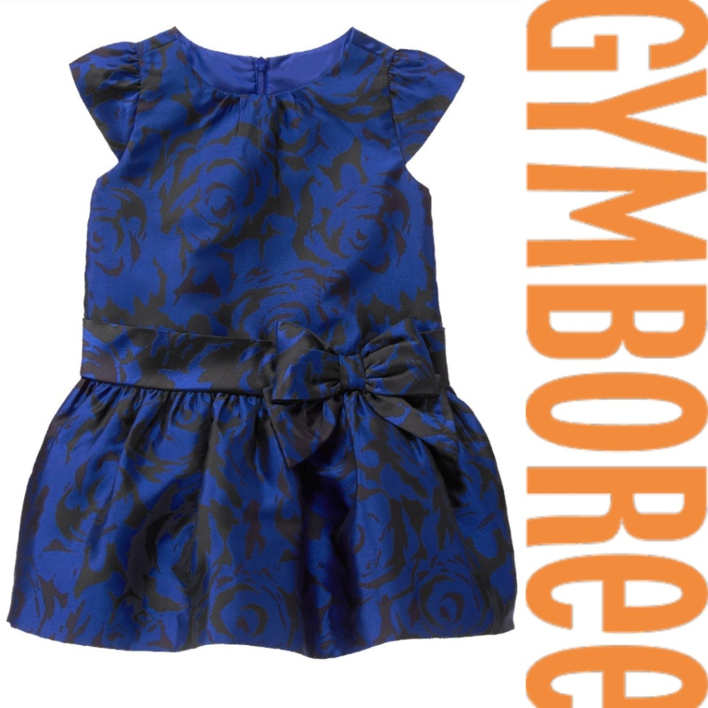 Gymboree Holiday‎ Special Occasion A-line Dress Royal Blue Floral 2T 4T 5